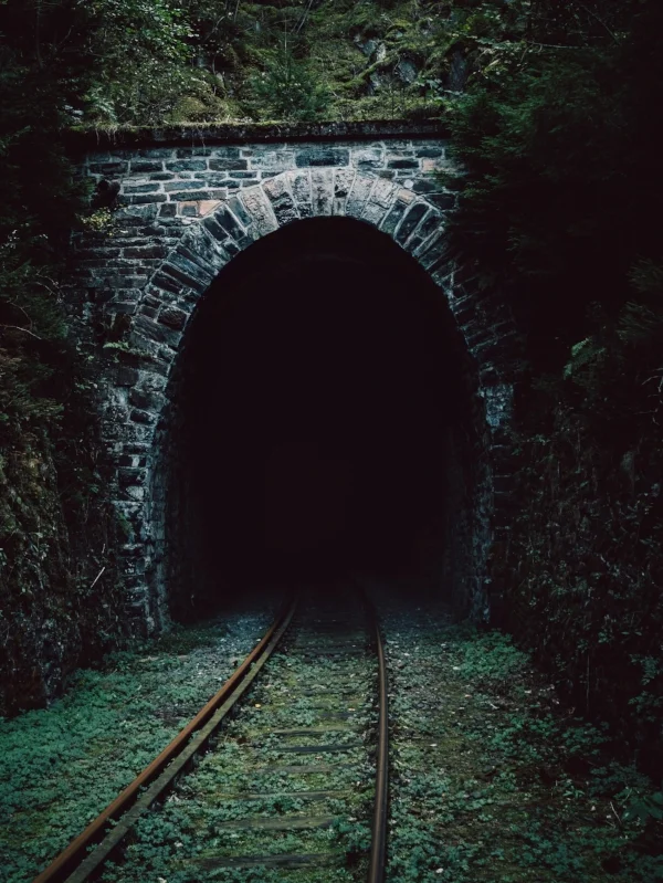 Photo courtesy of Johannes rapprich on pexels.com