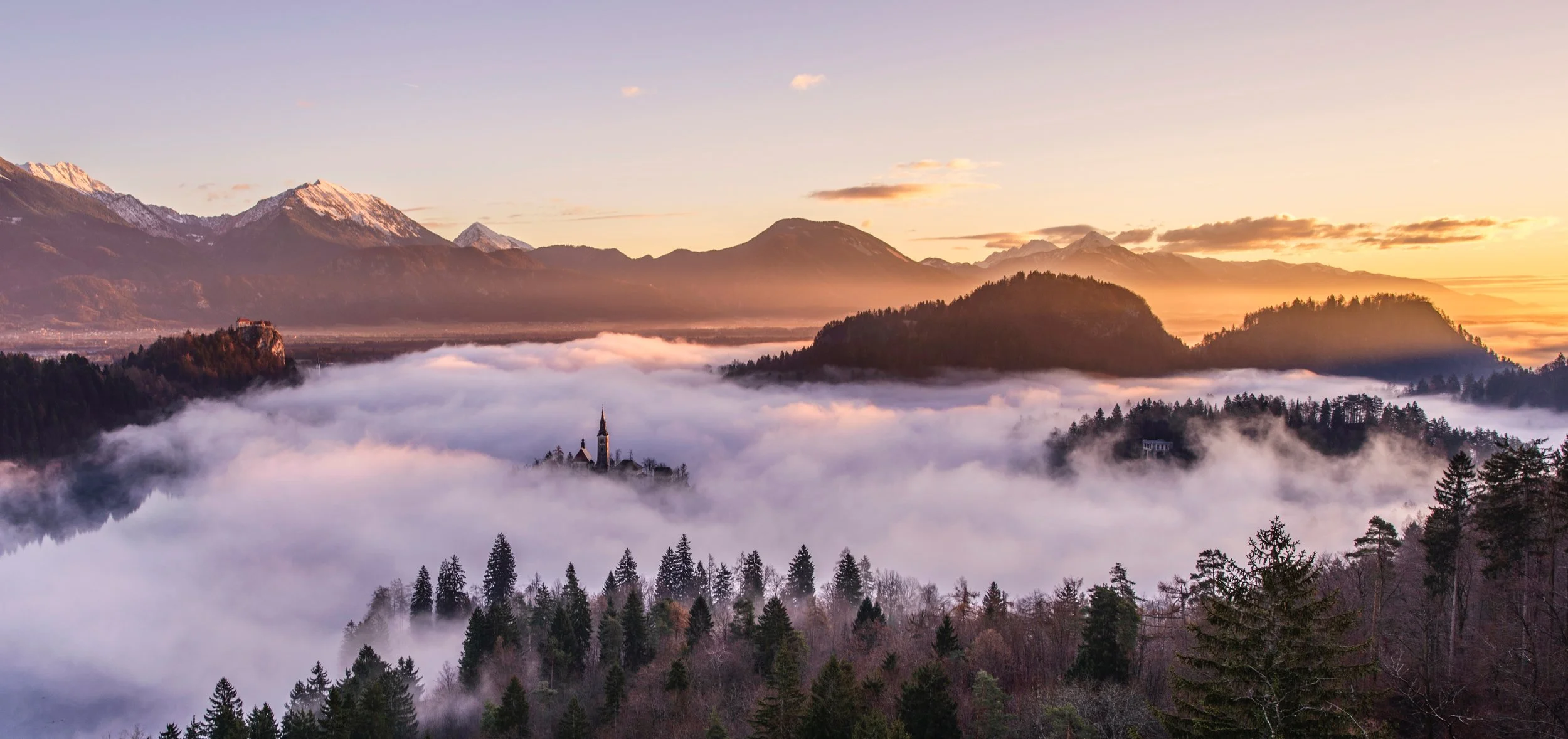 Picture courtesy of pexels.com