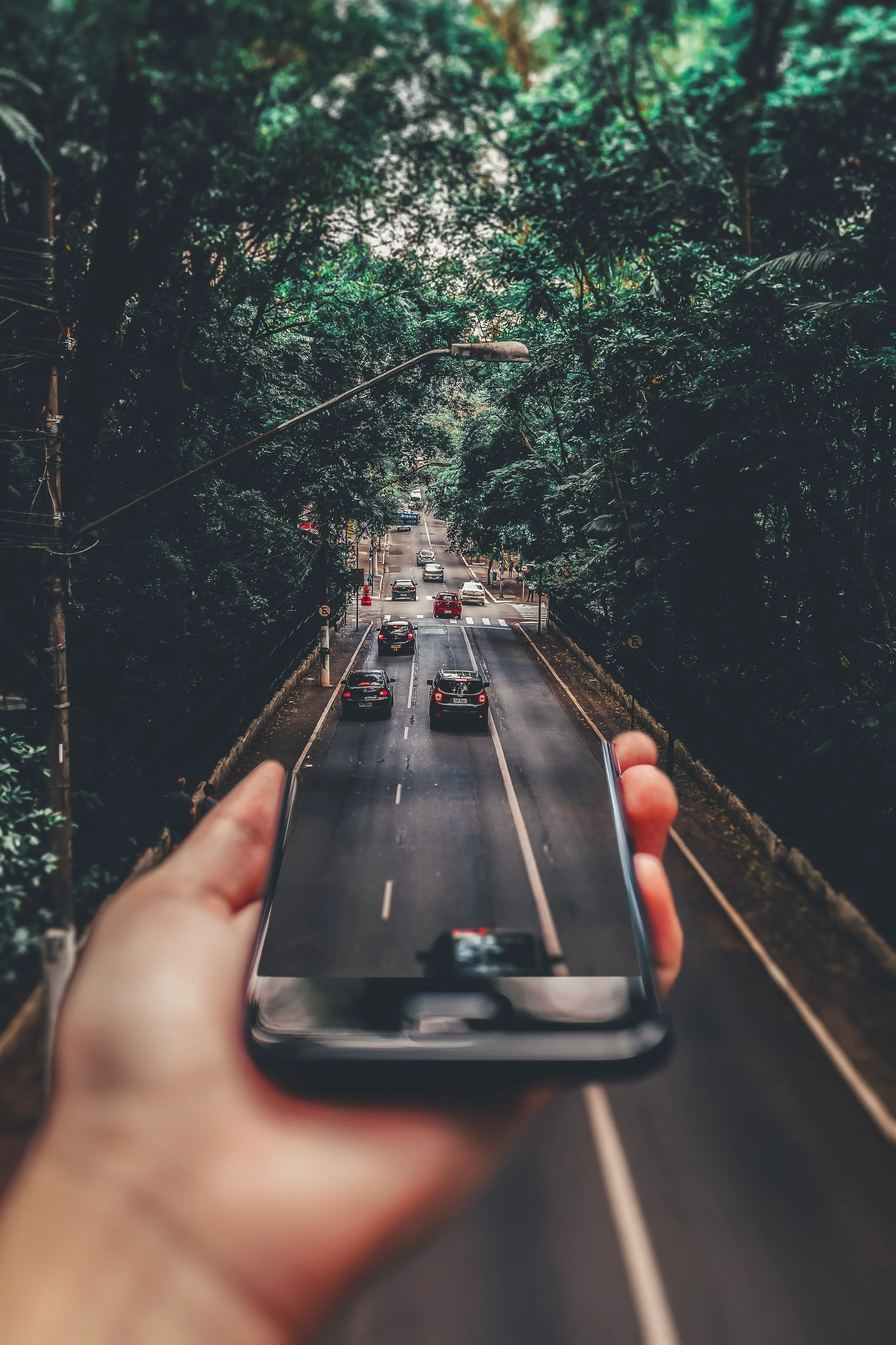 Photo Courtesy of Pexels.com.