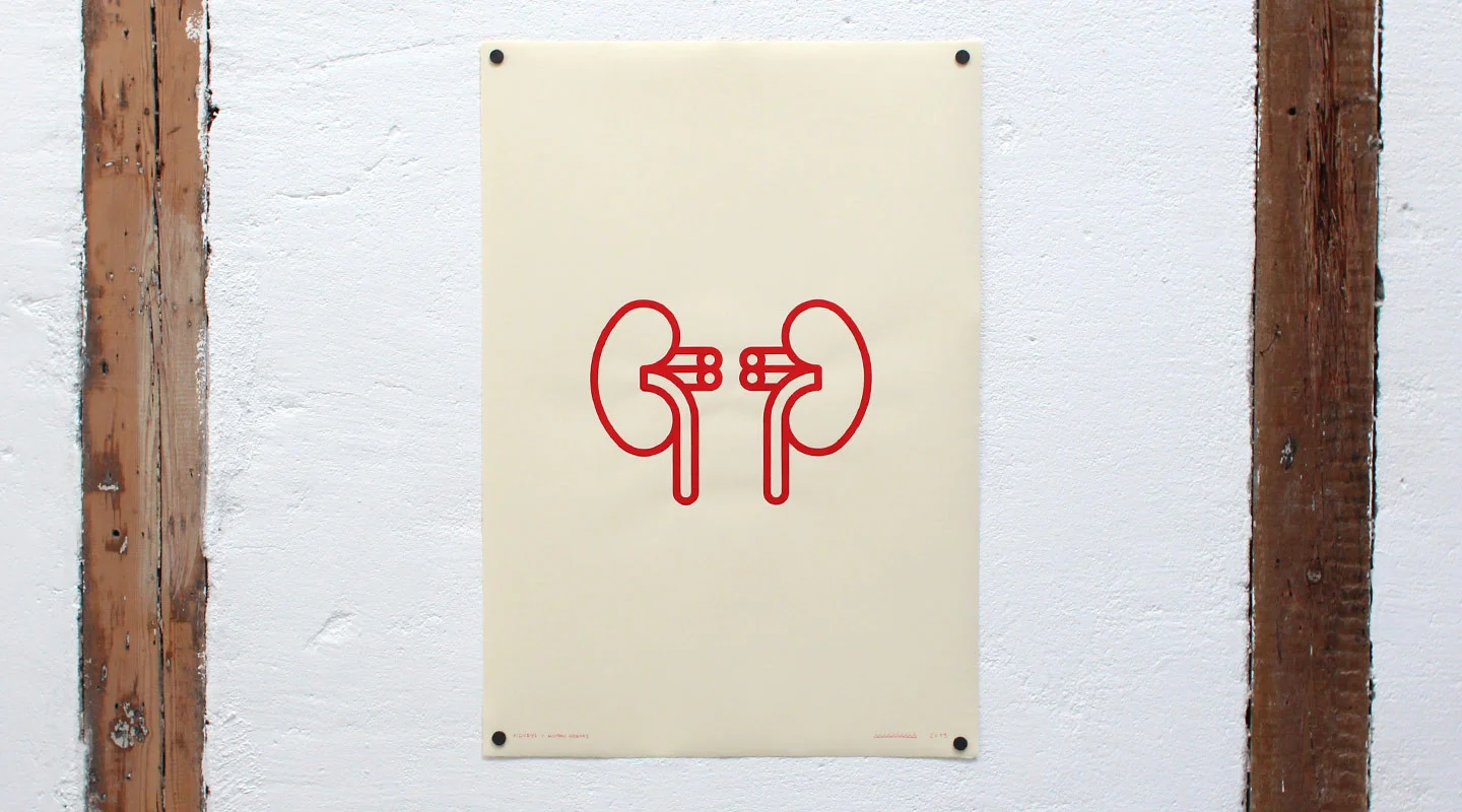 kidneys.jpg