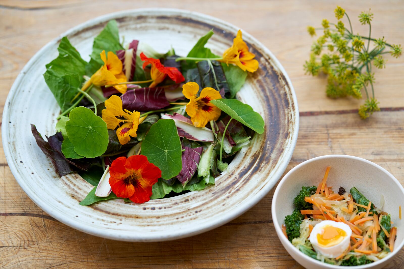 Early spring-salad with eatable flowers (nasturtium), kimche and sunny boiled eggs. Photo: Alexander Benjaminsen. 