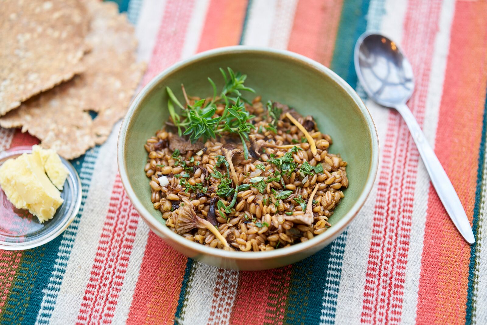 Warm spelt-salad with kale, mushrooms and apple. Photo: Alexander Benjaminsen