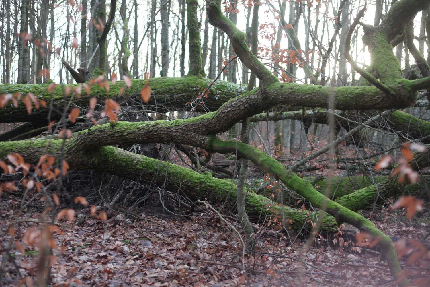 Site of the Derive listening station in Vestfold, Norway