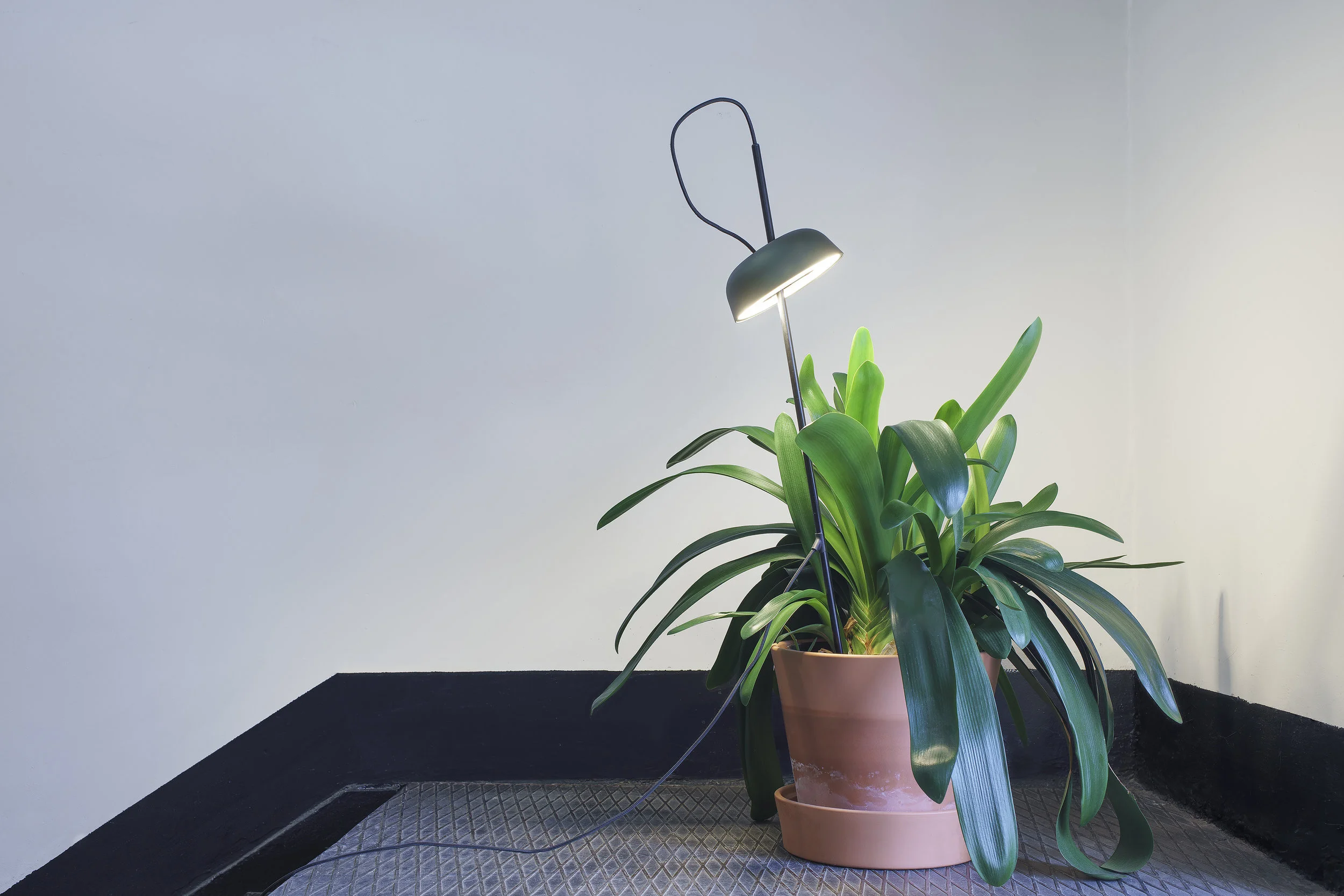 Ki Light planter base_1500 .jpg