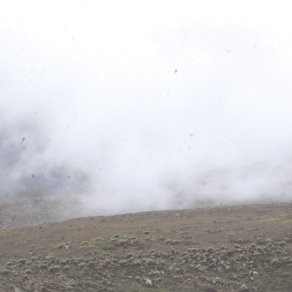 granca_taake_C0482.2018-10-29 10_16_21.gif