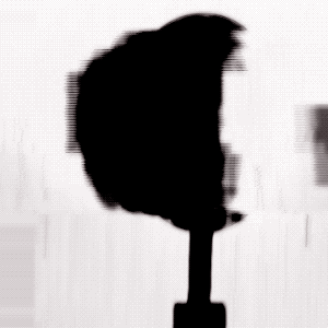 Axis 46 snutt_8893.2018-11-01 13_45_11.gif