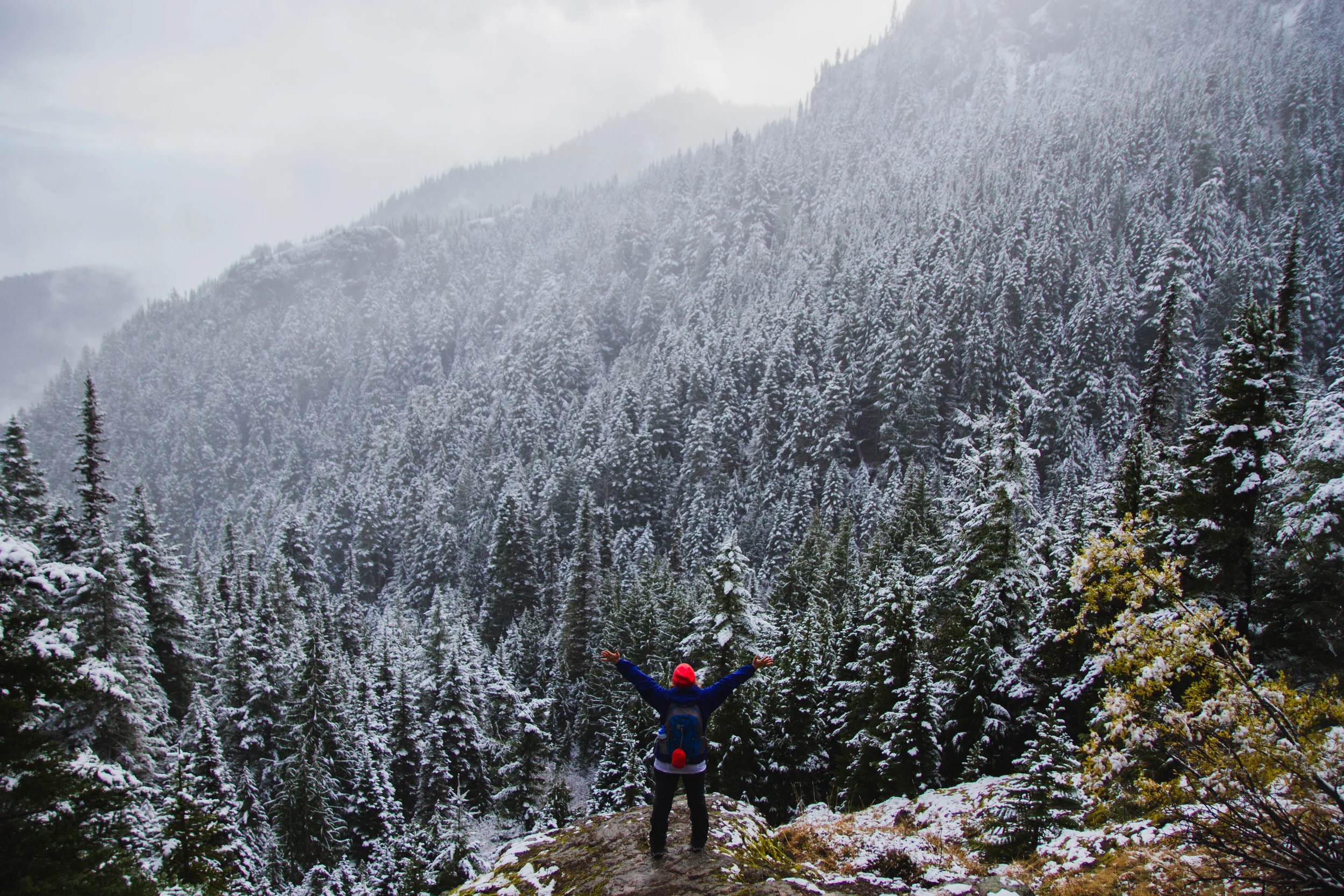 snowvember-34.jpg