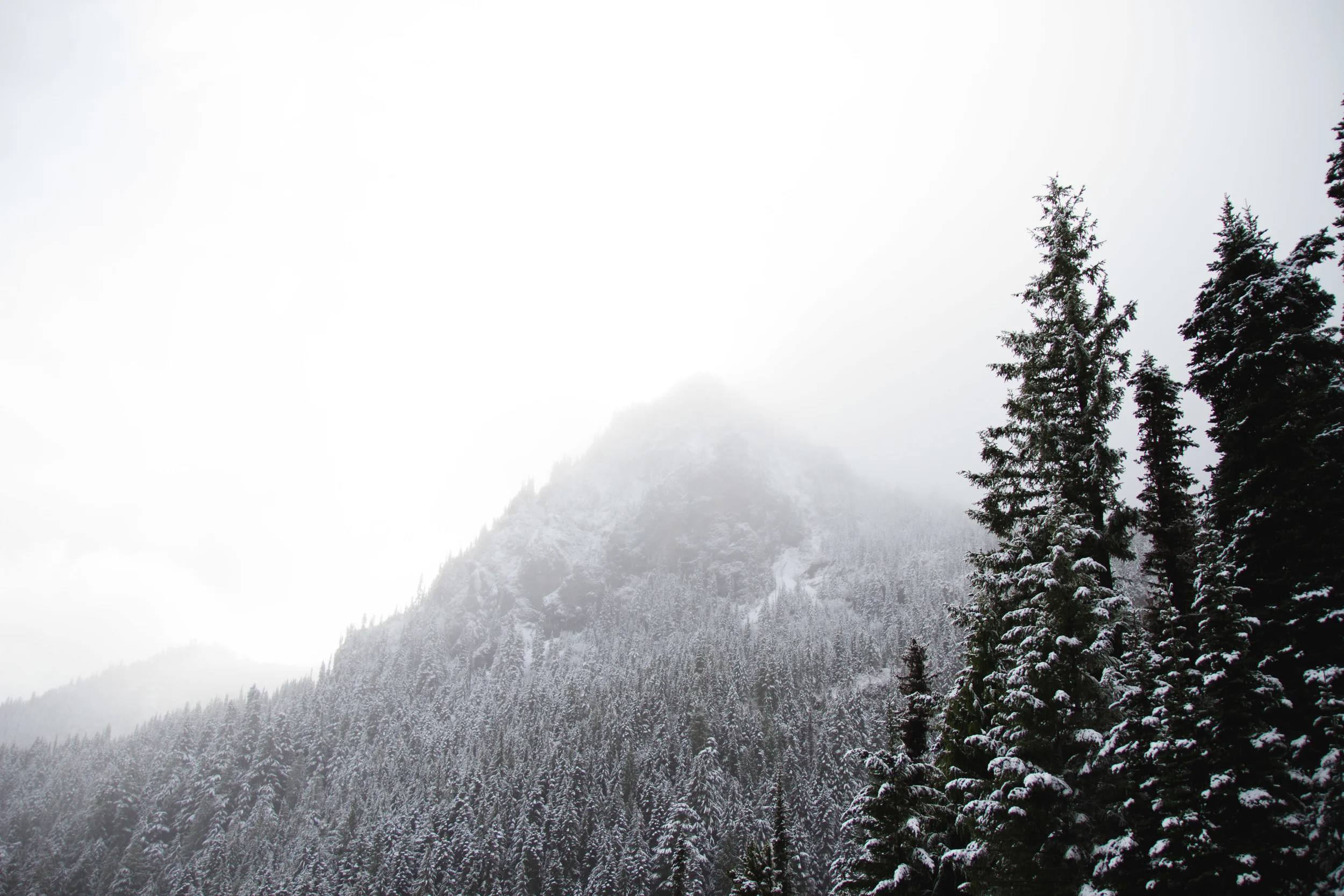 snowvember-39.jpg