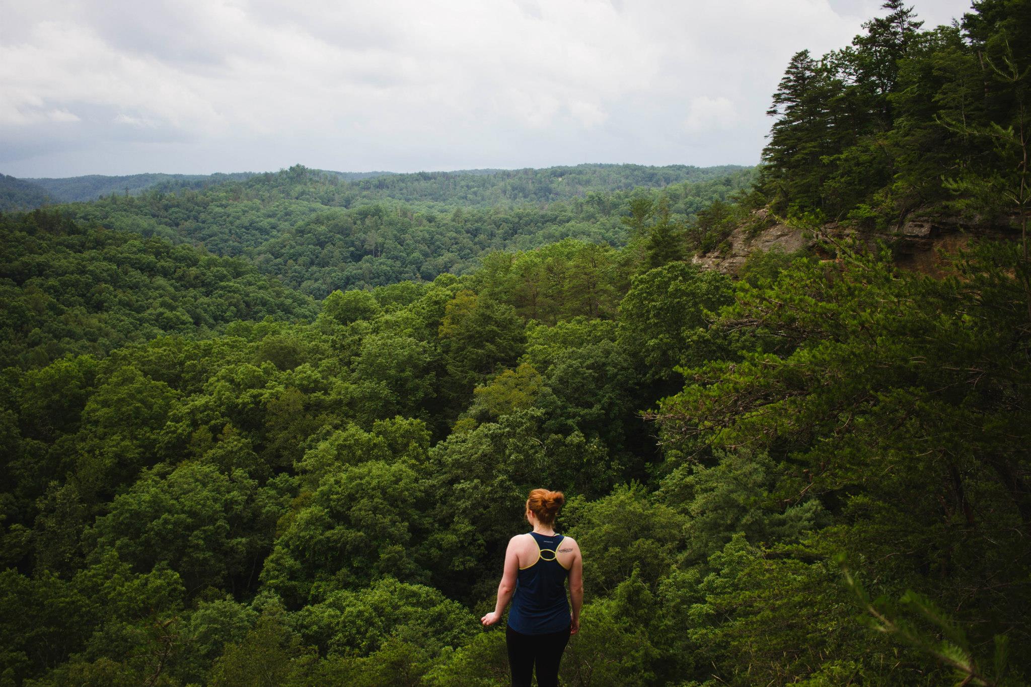 Red River Gorge - 2015