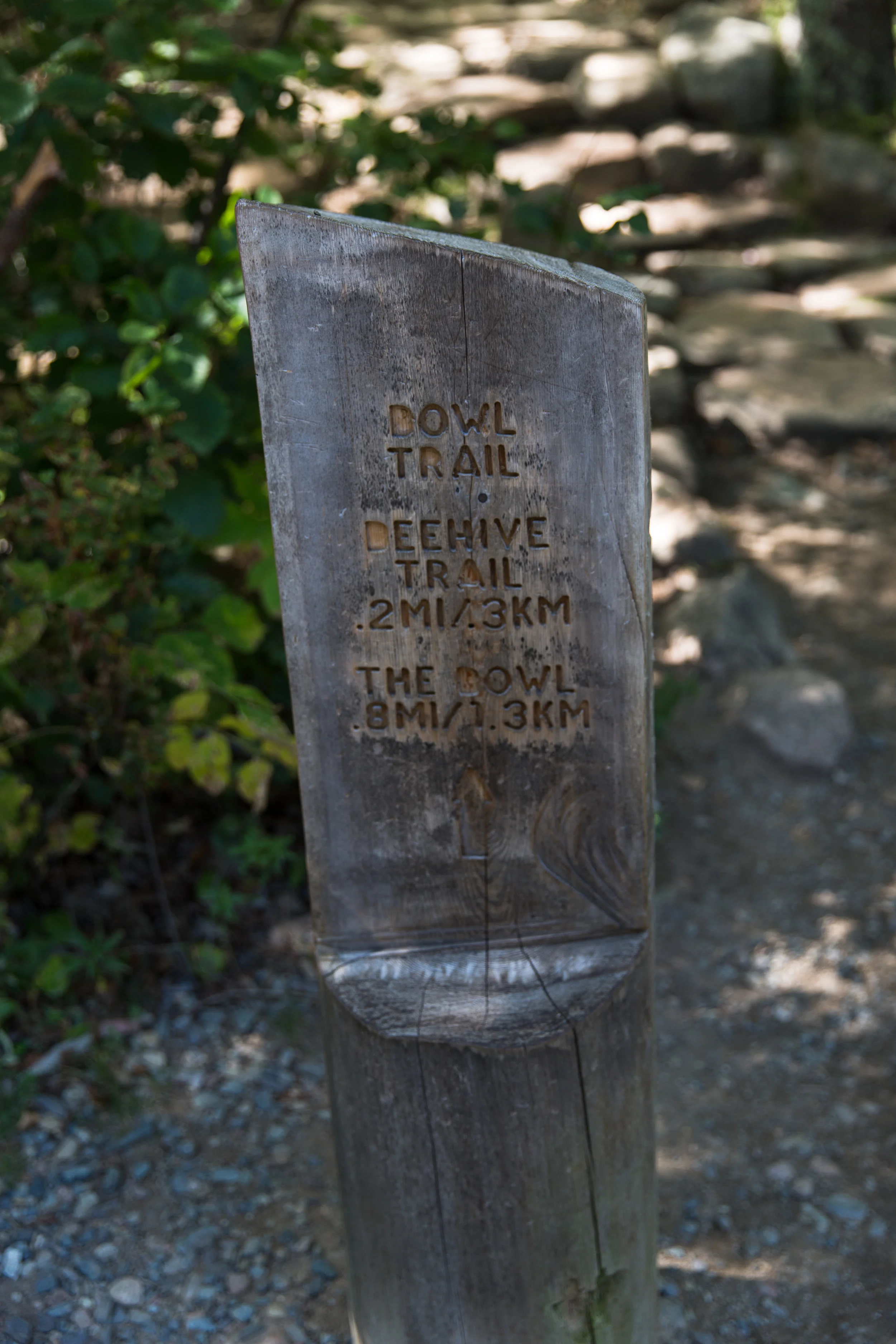 NewEngland-165.jpg