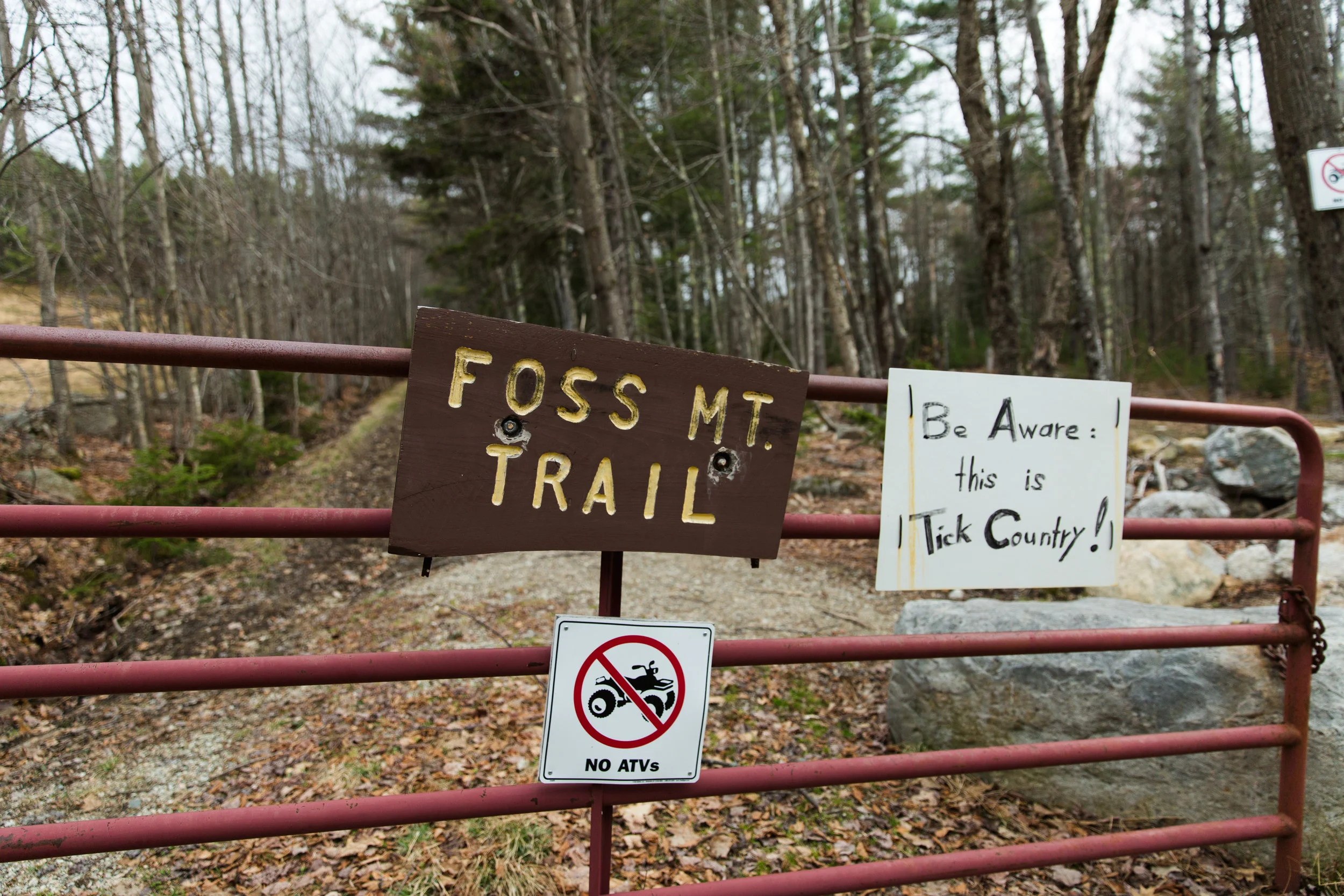 whitemountains-06.jpg
