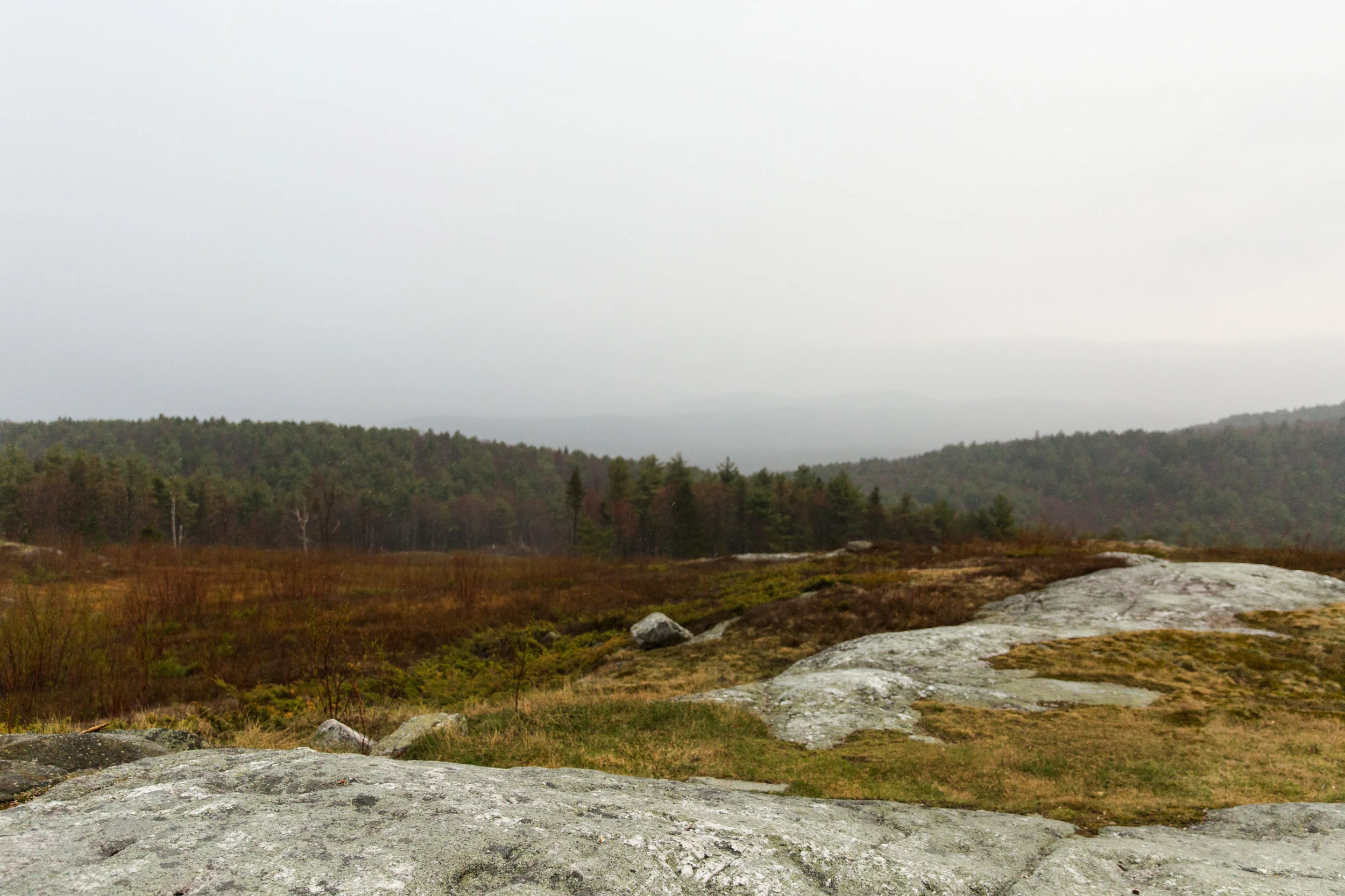whitemountains-12.jpg