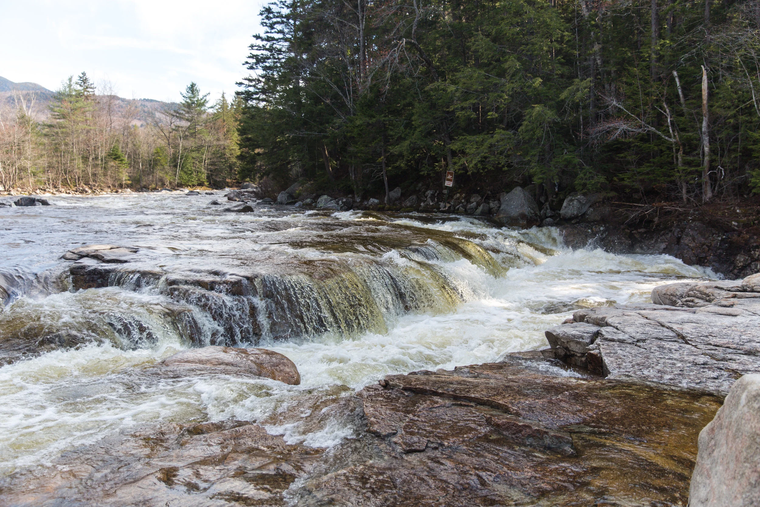 whitemountains-78.jpg