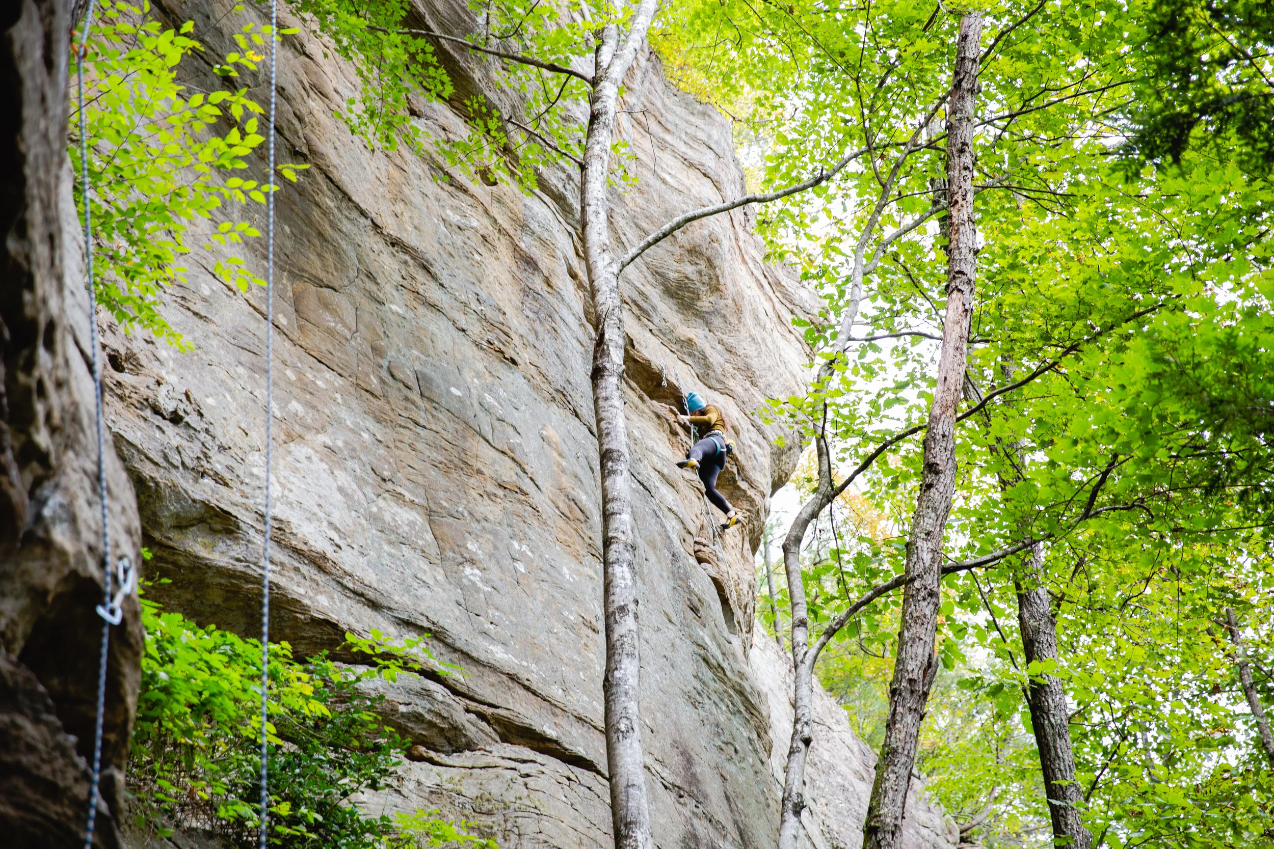 MillerFork-20.jpg
