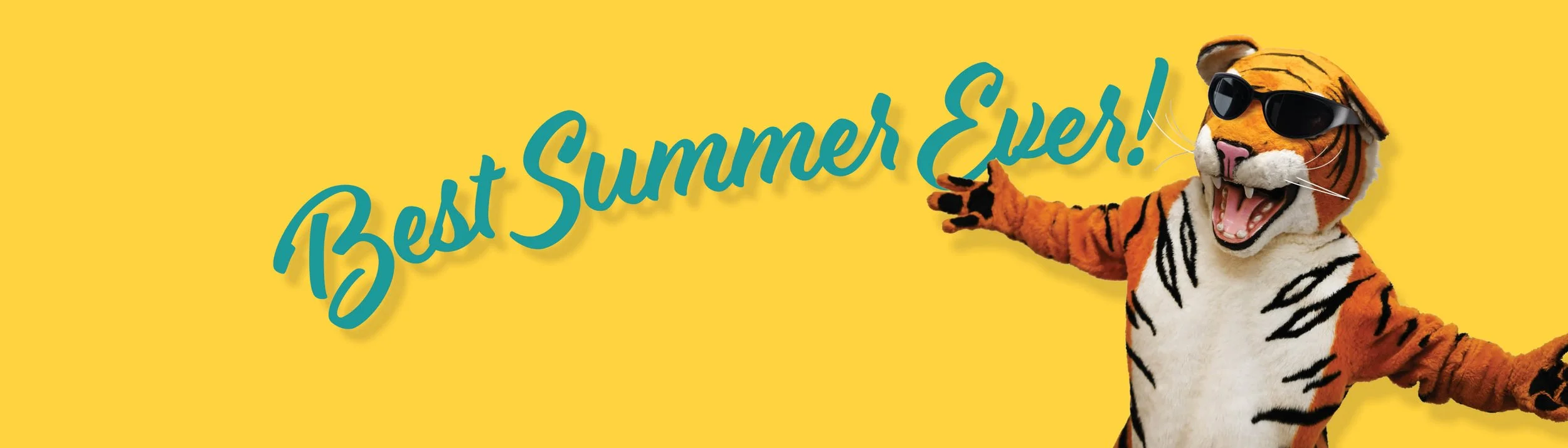 Summer Camps 2026 web header.jpg