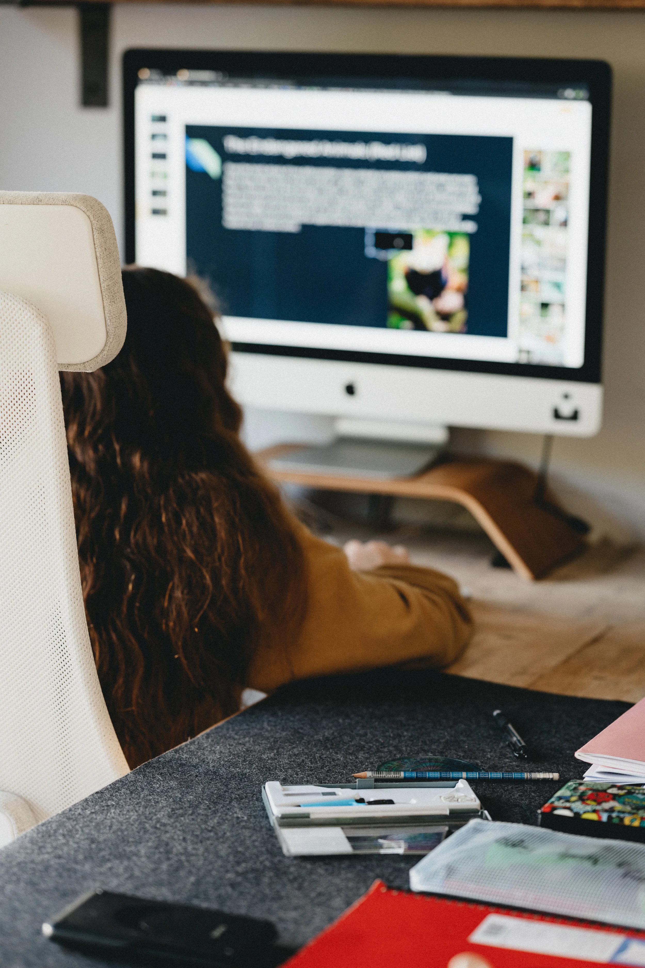 Internet Safety for Elementary