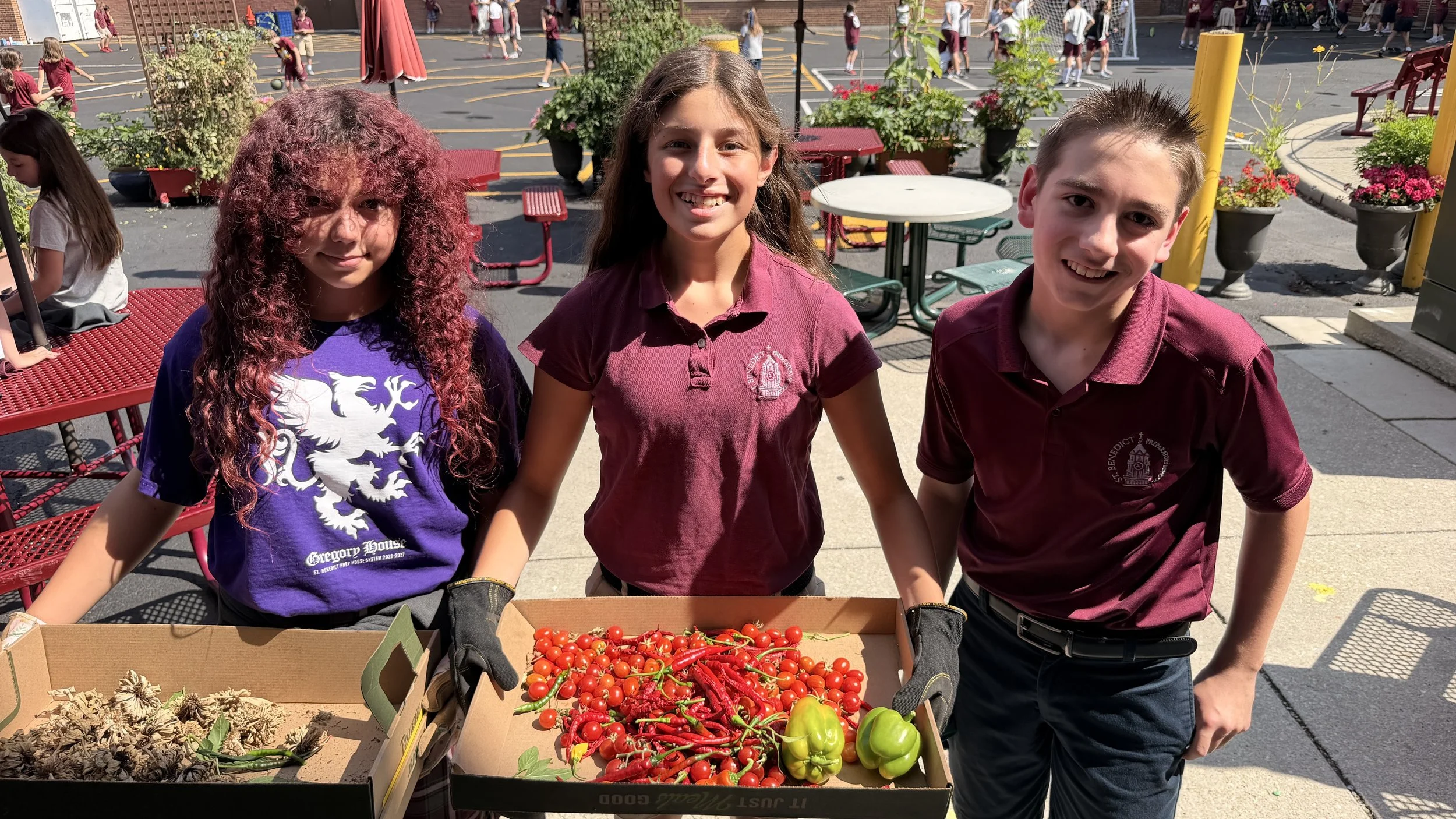 Ms. Gemo's middle school garden class harvesting fall veggies. 