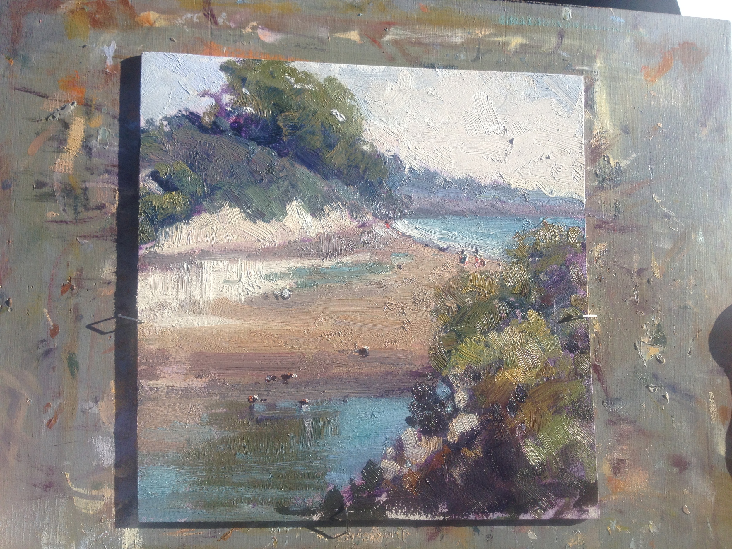 Camille Dellar's Goleta slough