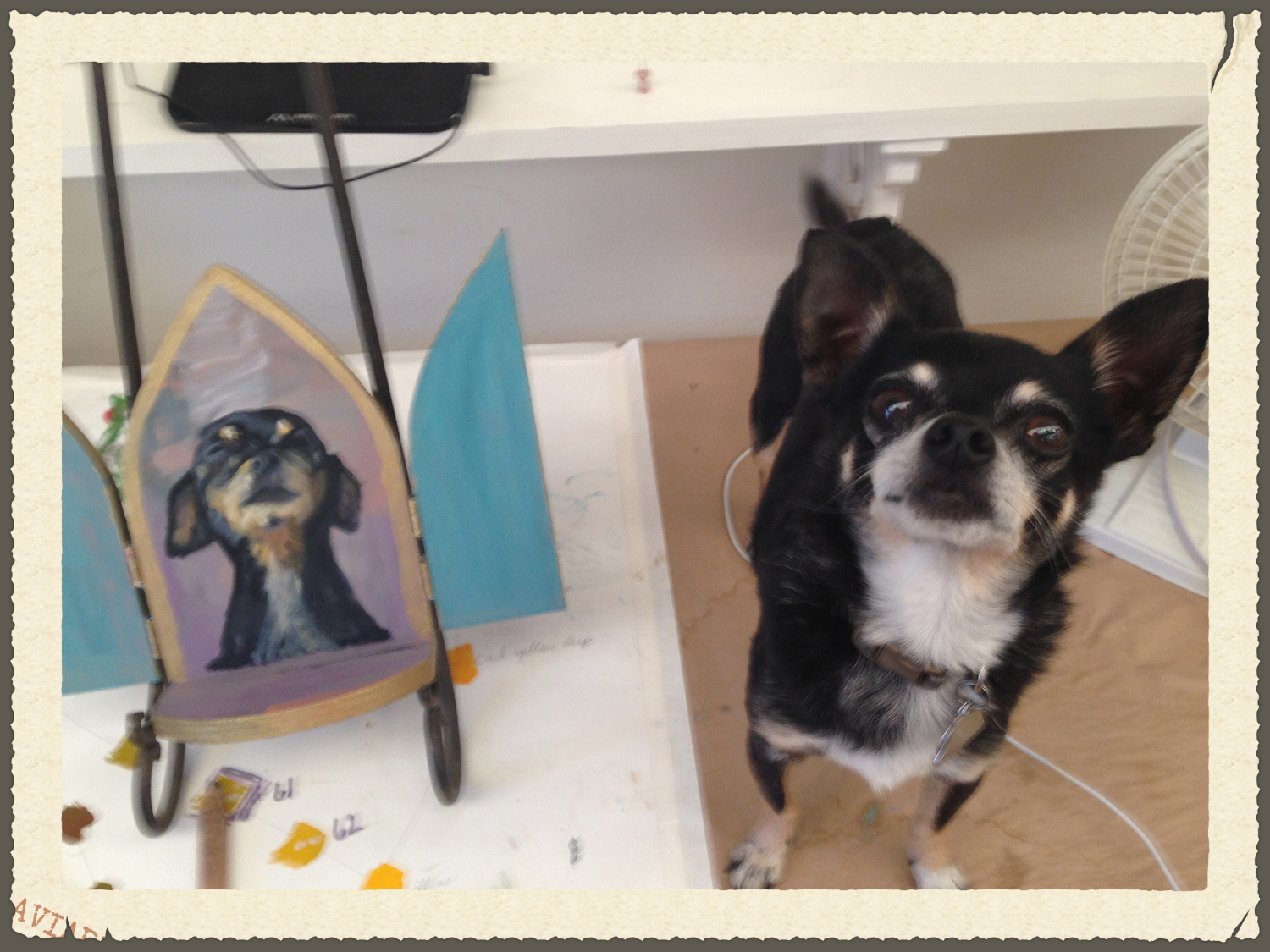 Bruiser posing for his angelic side.