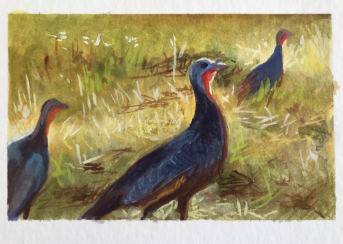 Turkey Day, 4x6 Gouache