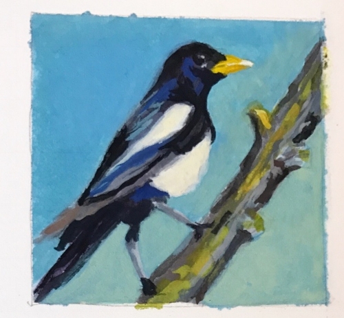CA Magpie, 2x2 gouache