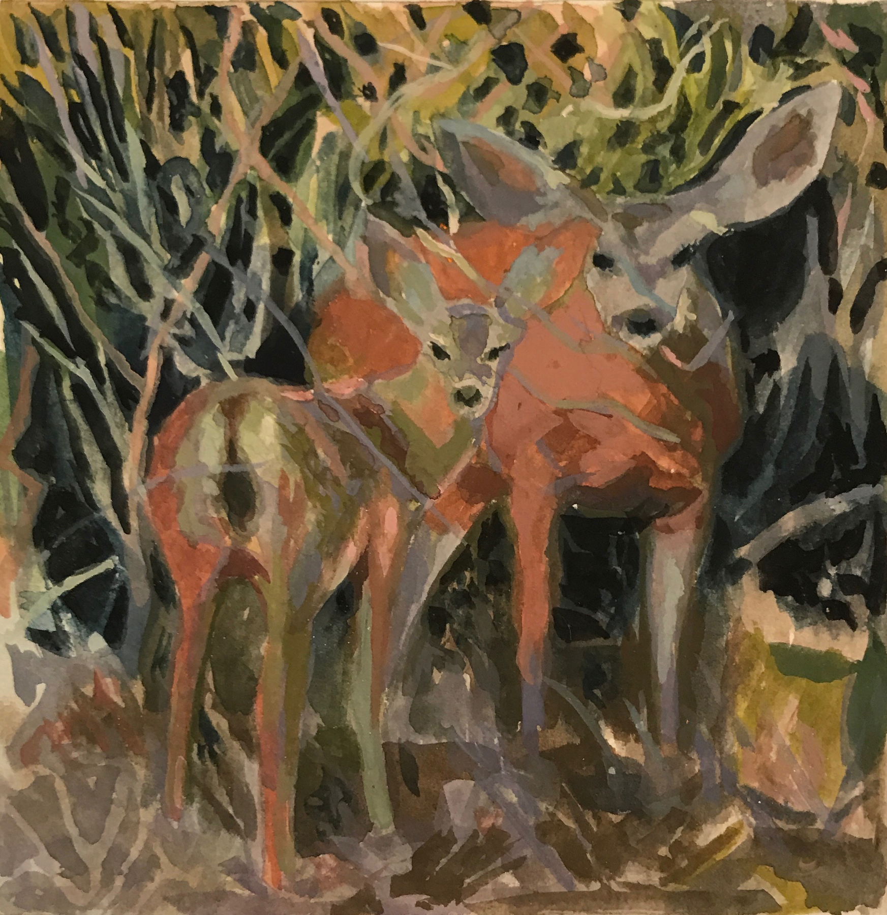 Mule Momma and Baby
