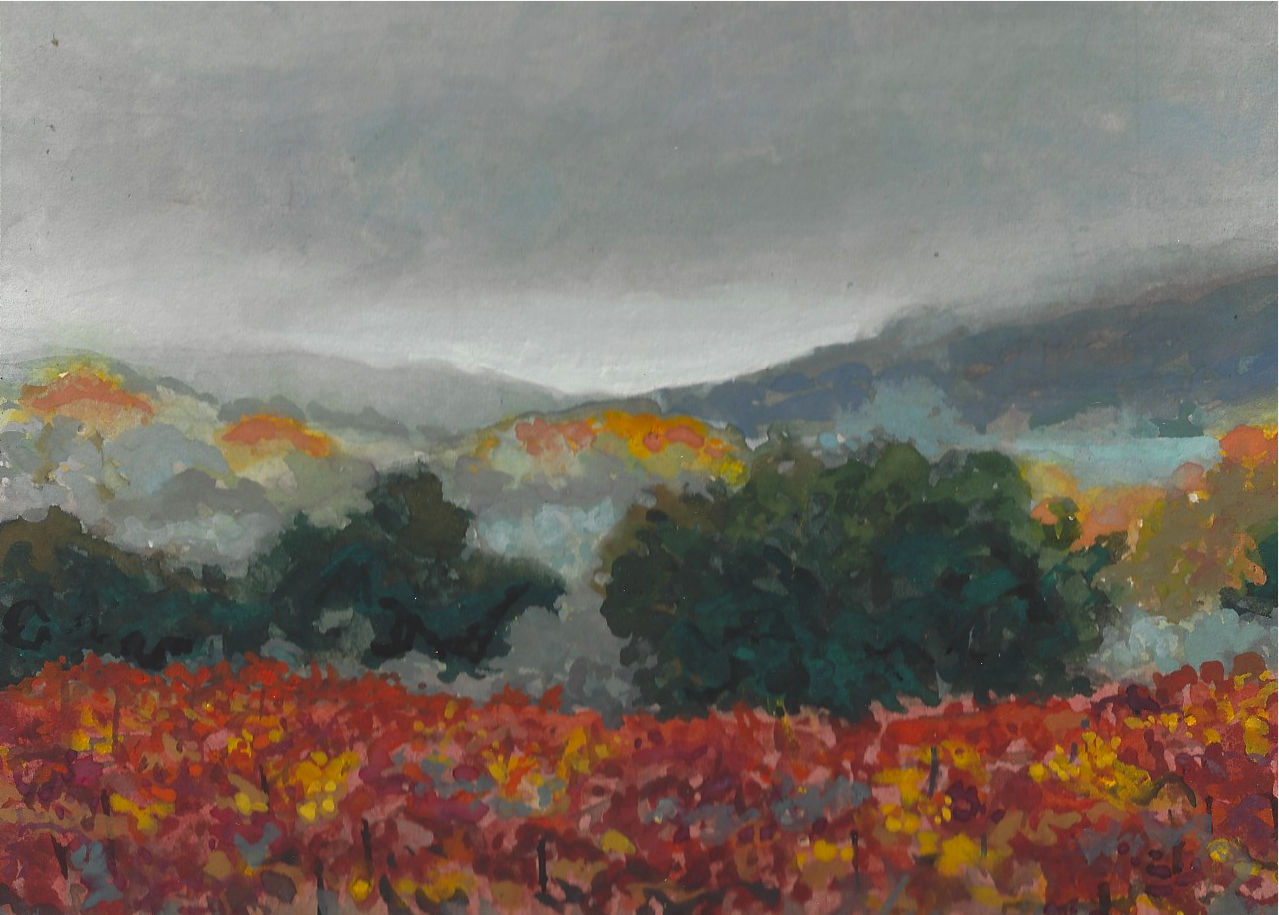 Vineyard Fog