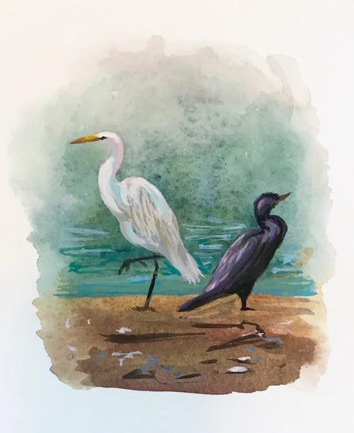 Ibony and Evory, 4x6 (Egret and Comorant, Lake Cachuma)
