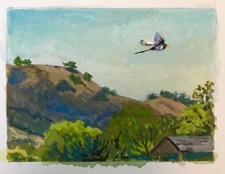 Magpie Flight, 4x6