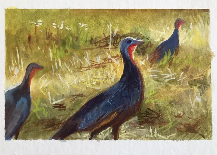 Turkey Day, 4x6