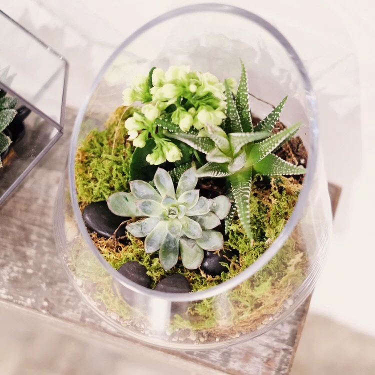 Terrarium Workshop 