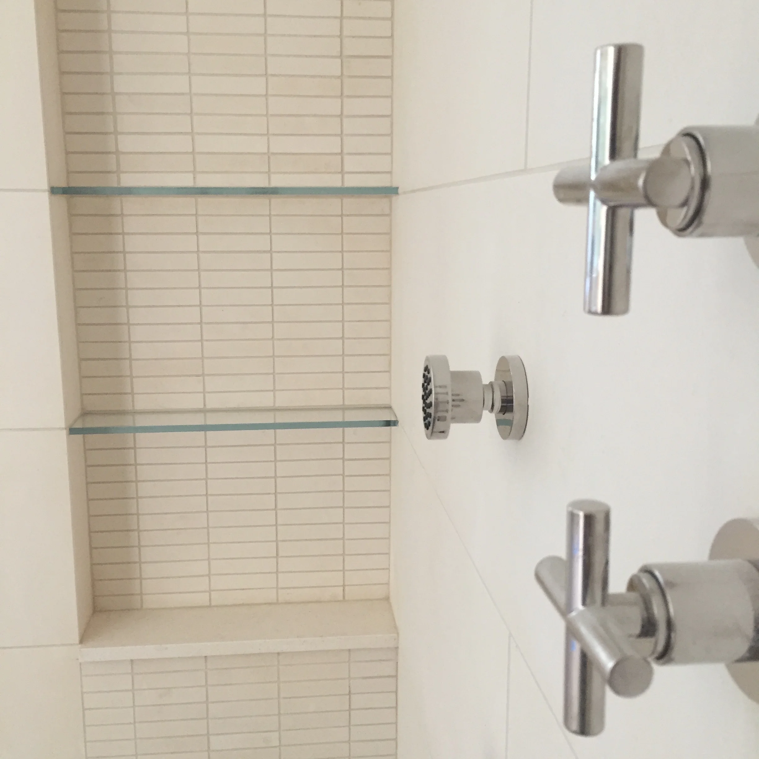 DETAIL: The shampoo niche was highlighted with a small mosaic tile strip that runs floor to ceiling. This mosaic is the exact same material as the wall tile, but offers a different texture to the wall.