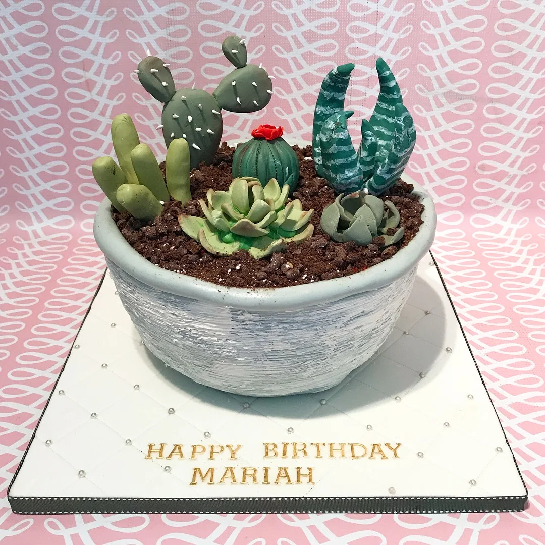 Succulents cake