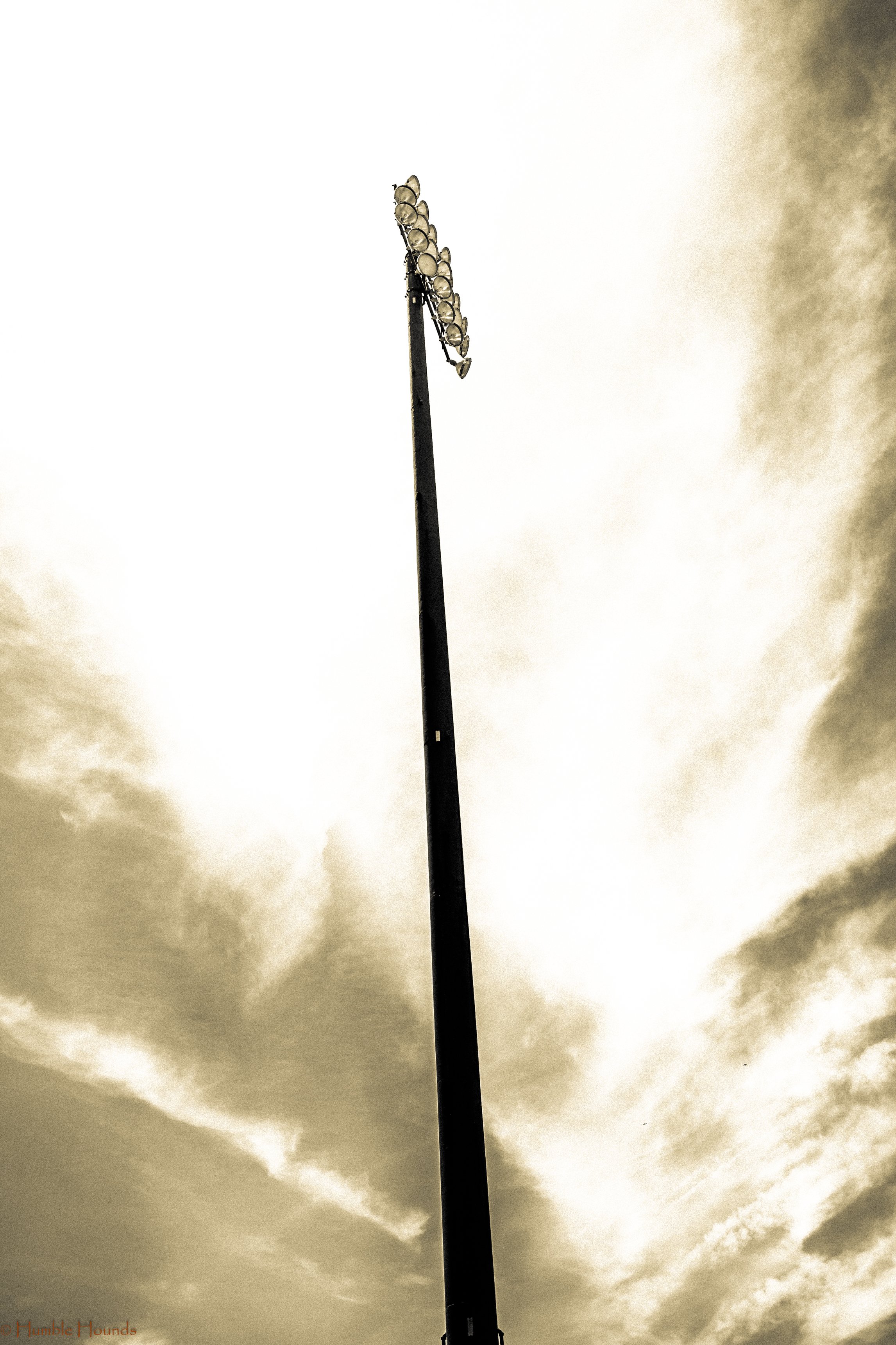 _H_L5368.jpg