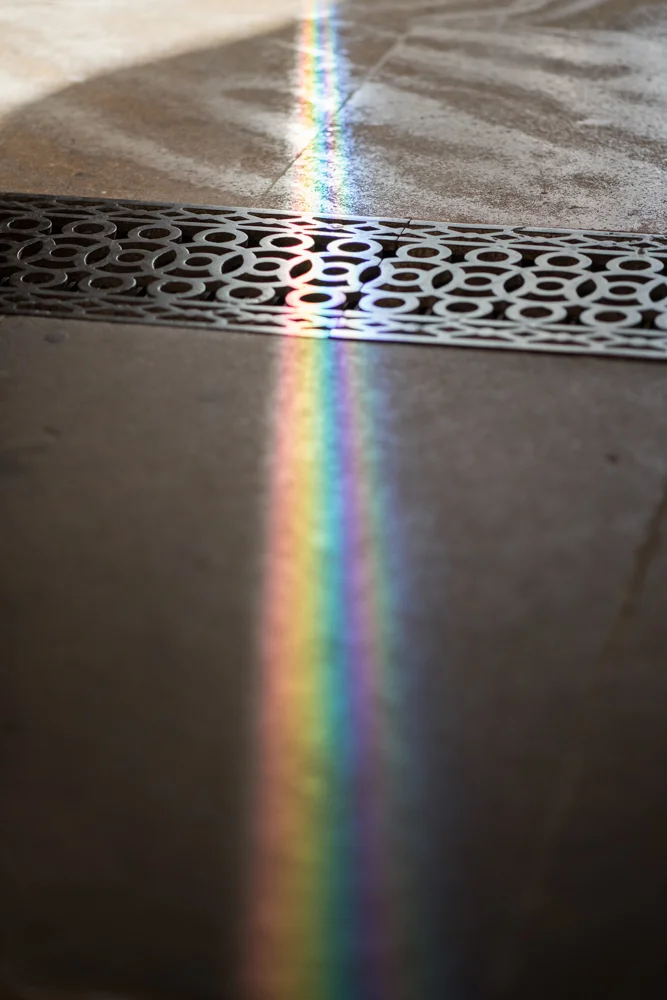 D81_2933.jpg