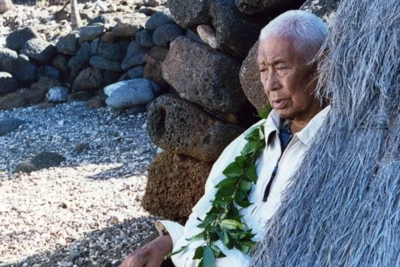 Papa Henry Auwae, Po’okela Kahuna Laau Lapaau