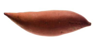 garnet.png