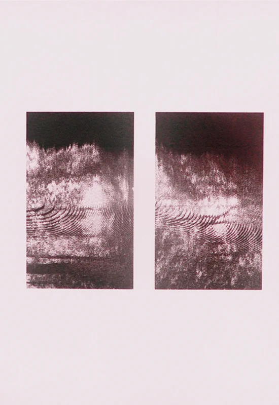 siravelfcom.13 copy.jpg