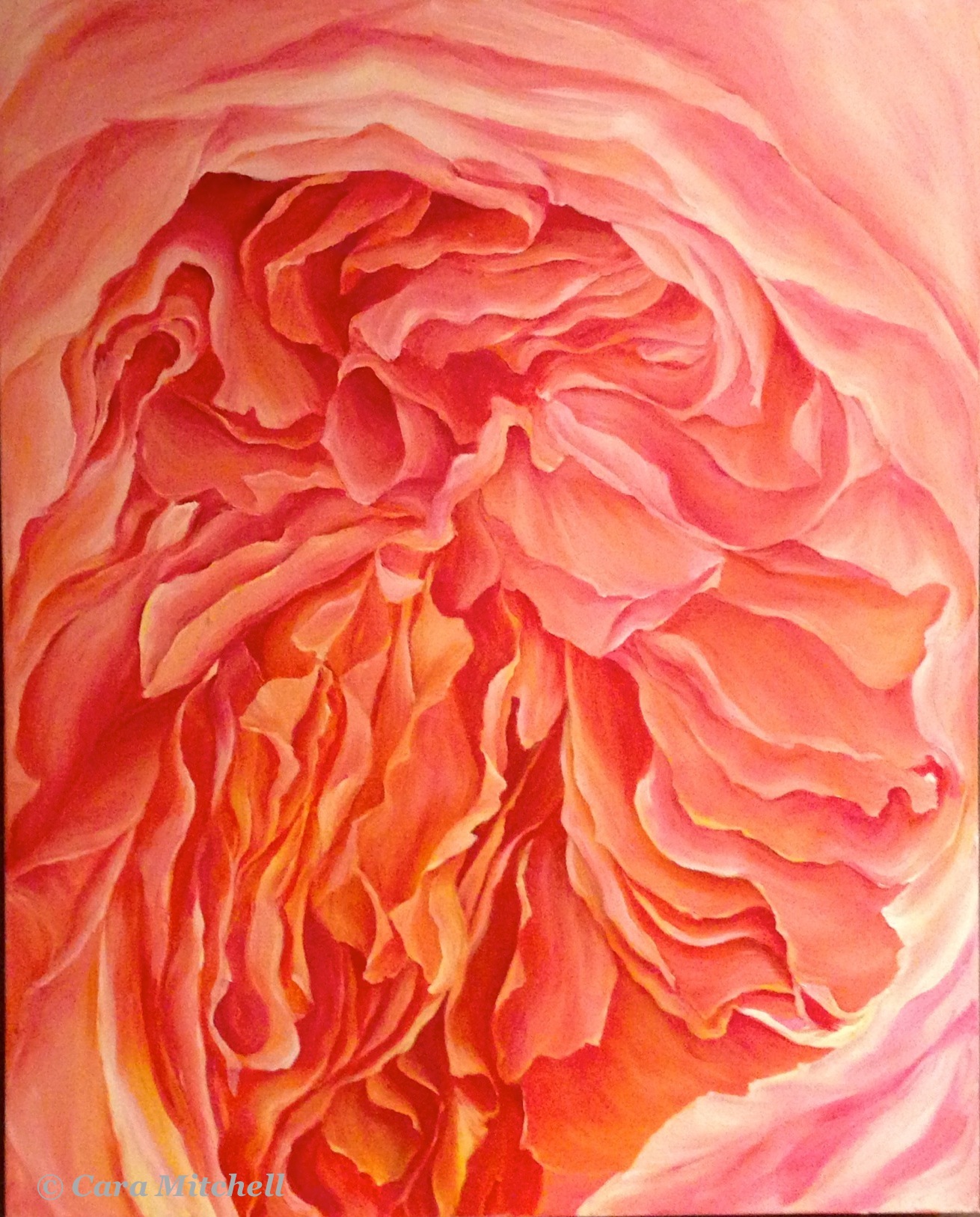 Garden Rose, 2010