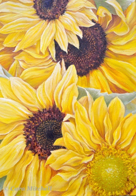Molly's Sunflowers, 2013