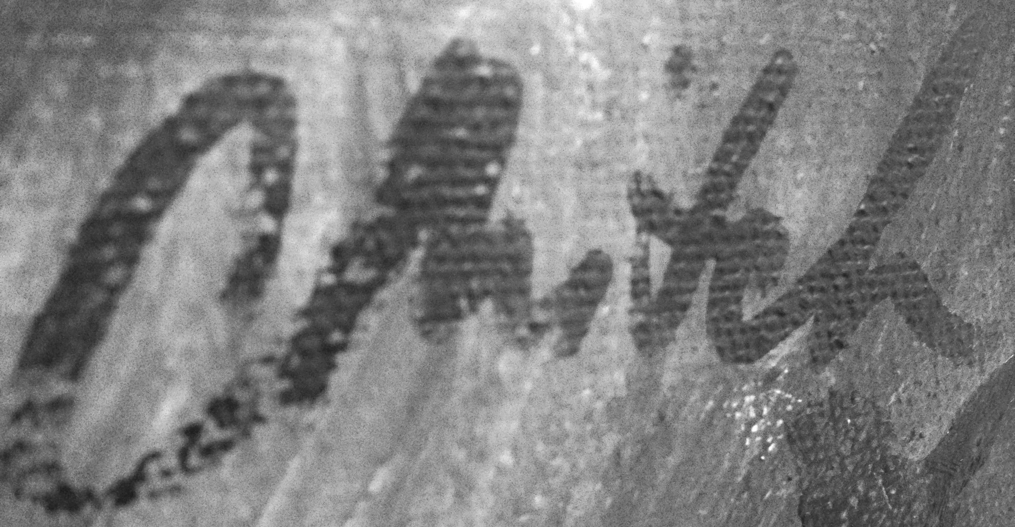 signature.JPG