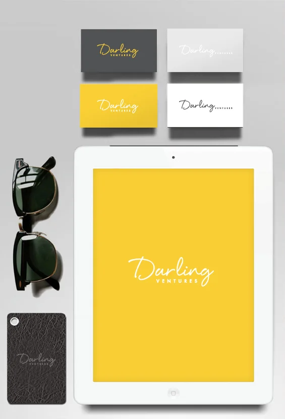 Darling Ventures Brand Identity Package