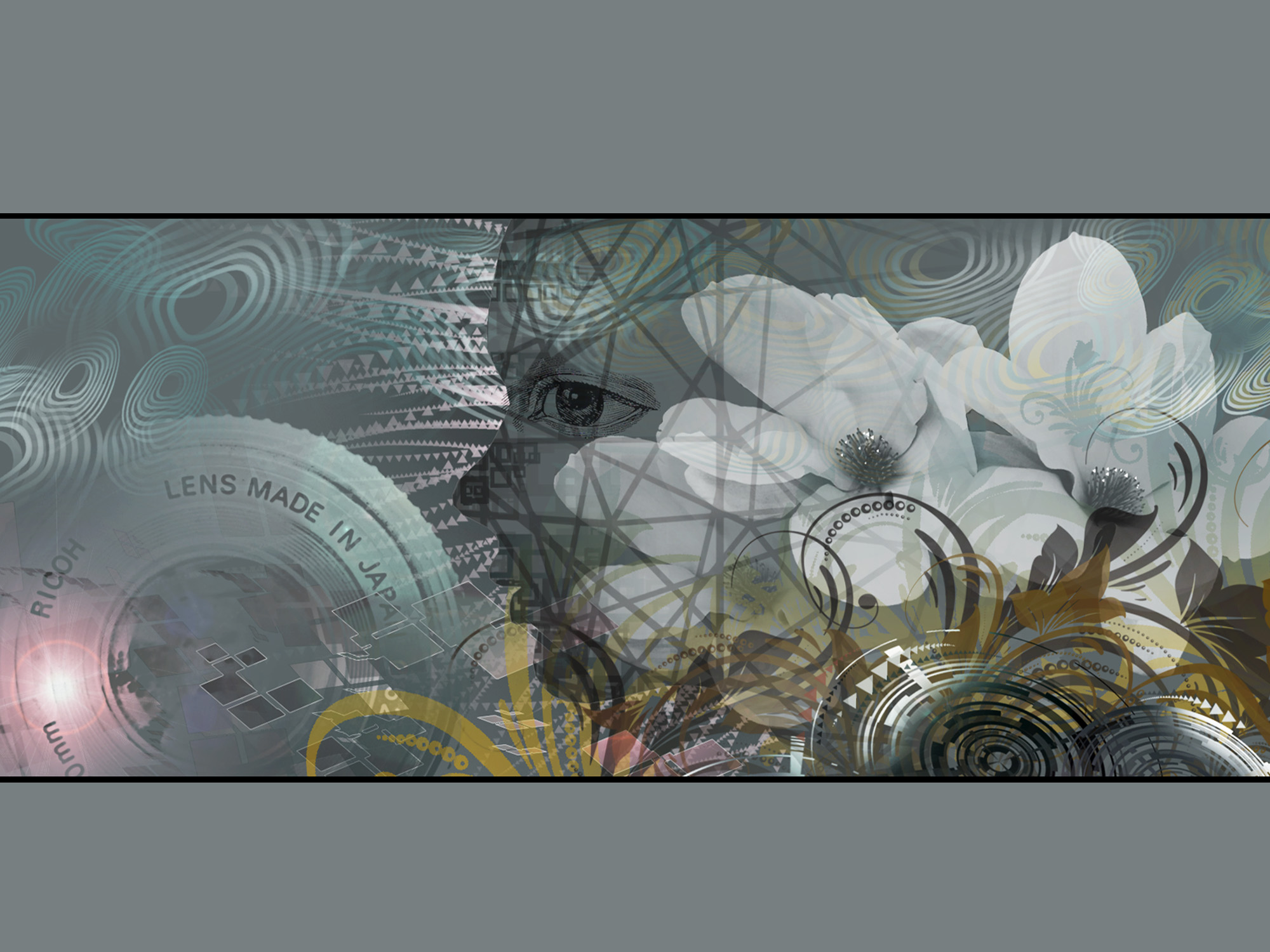 face-jerry rogowski.jpg