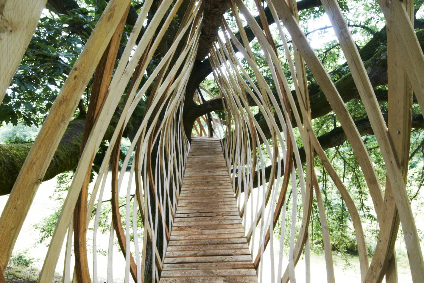 Dartmoor-Treehouse-Jerry-Tate-Architects-5.jpg