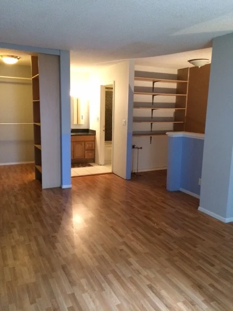 view of closets from bedroom area.jpg