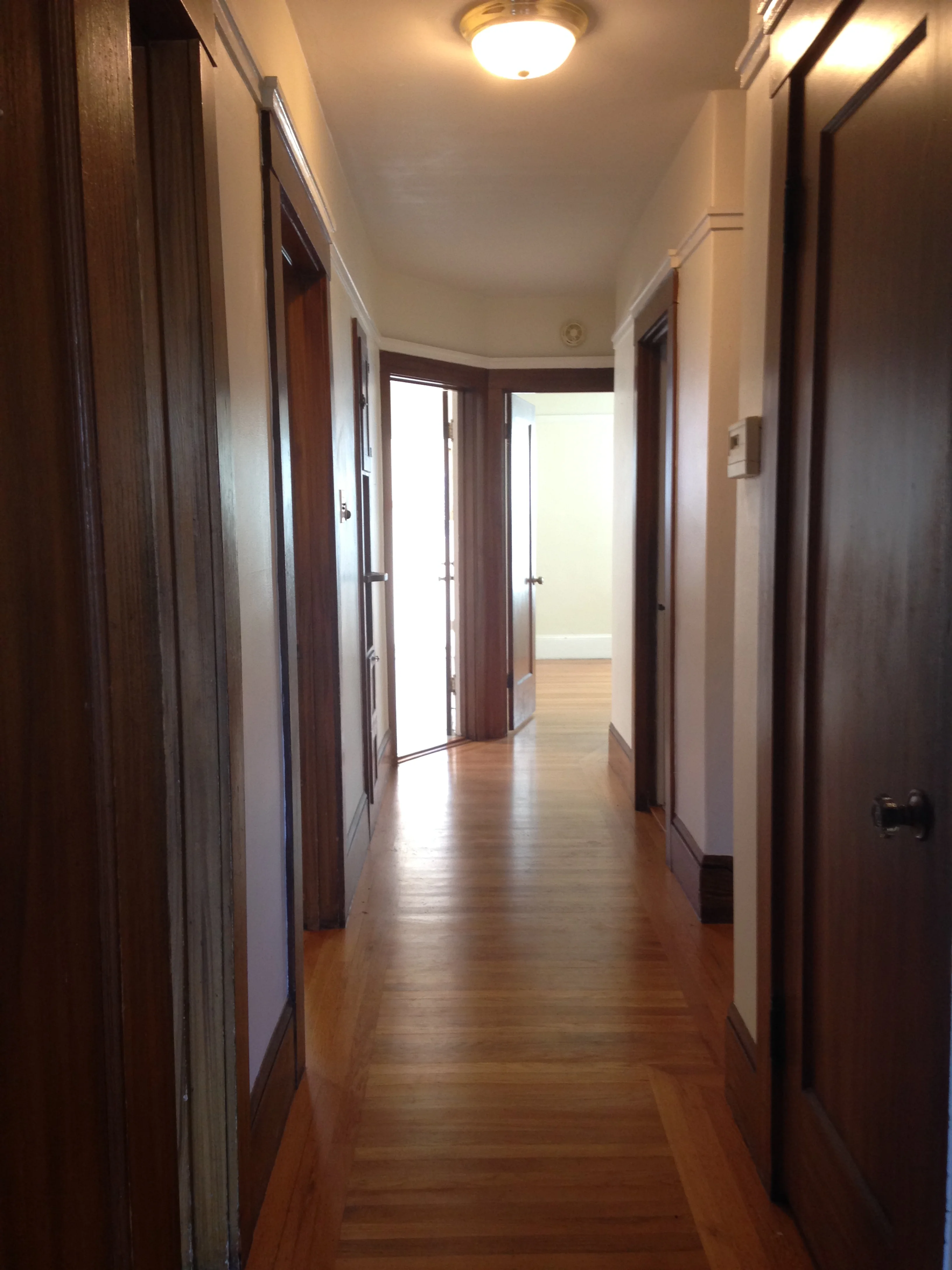 photo 5.JPG