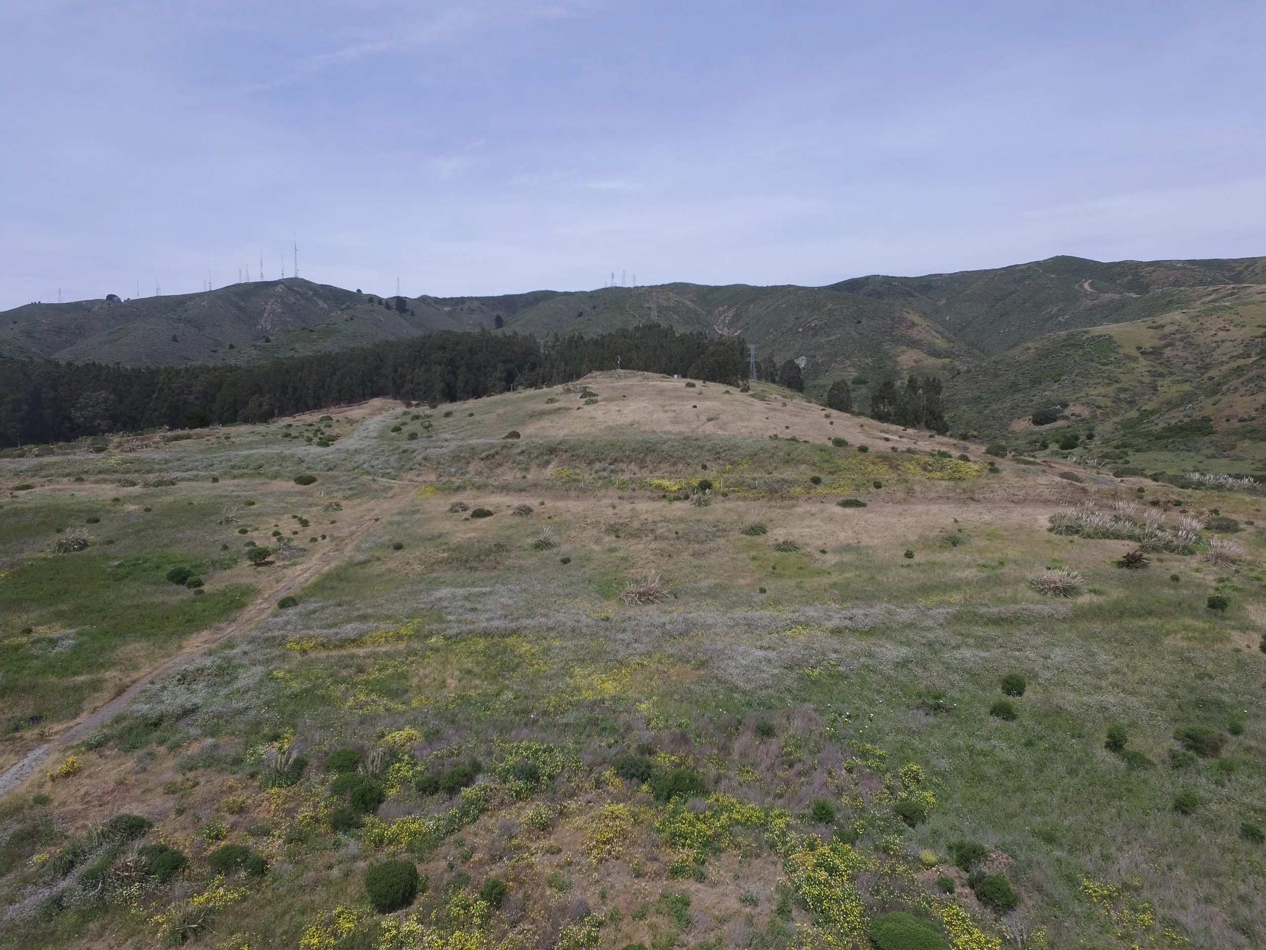 DJI_0027.JPG