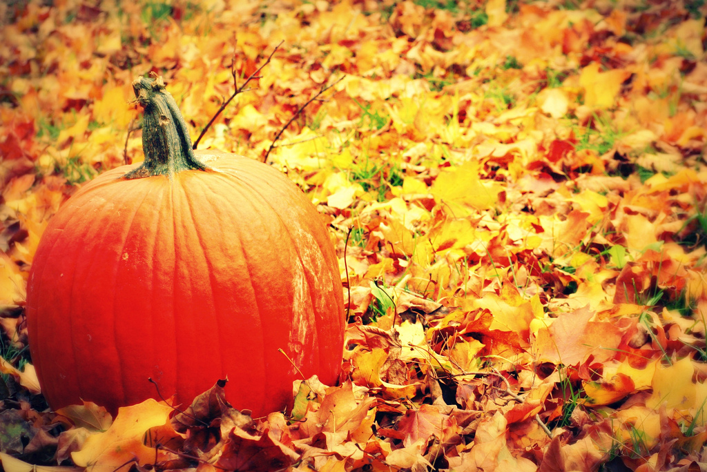 October Market Update