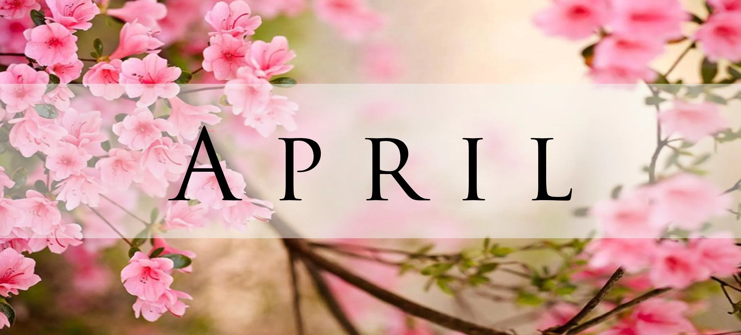 April 2020 Market Update