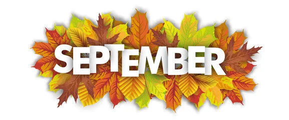 September 2020 Market Update 